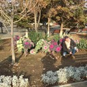  ,   , 45 ,   ,   , c 