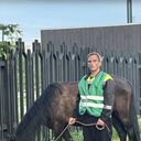 ���������� �����, ���� ������� ����, 43 ����, ������������ ��� ������, ����� � ���������, c�������� ���������