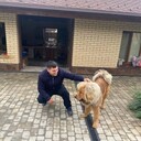 ���������� �������, ���� ������� ������, 26 ���, ������������ ��� ������, ����� � ���������