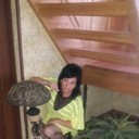 ���������� ���������, ���� ������� ����, 49 ���, ������������ ��� ������, ����� � ���������, c�������� ���������