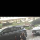 ���������� ������, ���� ������� ��������, 39 ���, ������������ ��� ����� � ���������, c�������� ���������