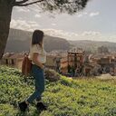 ���������� �������, ���� ������� ���������, 31 ���, ������������ ��� ����� � ���������, c�������� ���������