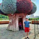 ���������� ������, ���� ������� ��������, 43 ����, ������������ ��� ������, ����� � ���������, ���������