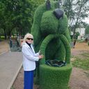 ���������� ���������, ���� ������� ��������, 66 ���, ������������ ��� c�������� ���������