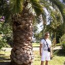 ���������� �������, ���� ������� RUSLAN, 46 ���, ������������ ��� ������