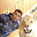 ���������� ������, ���� ������� ������, 37 ���, ������������ ��� ����� � ���������, c�������� ���������