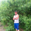  ,   , 51 ,   ,   , c 