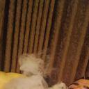 ���������� ������, ���� ������� Rafik, 26 ���, ������������ ��� ������, ����� � ���������, c�������� ���������, ���������