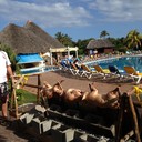 ���������� ��������, ���� ������� �������, 48 ���, ������������ ��� ������, ����� � ���������, c�������� ���������