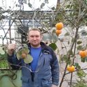 ���������� ���������, ���� ������� ���������, 38 ���, ������������ ��� c�������� ���������