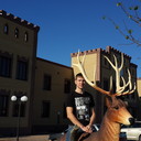 ���������� ���������, ���� ������� ���������, 33 ����, ������������ ��� ������, ����� � ���������, c�������� ���������