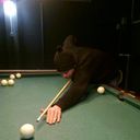 ���������� �����, ���� ������� �����, 32 ����, ������������ ��� ������