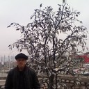 ���������� ������, ���� ������� ����, 37 ���, ������������ ��� ������, ����� � ���������, c�������� ���������