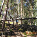 ���������� ����������, ���� ������� ����, 49 ���, ������������ ��� ������, ����� � ���������, c�������� ���������