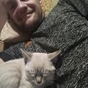 ���������� �����������-��-�����, ���� ������� ϸ��, 40 ���, ������������ ��� ������, ����� � ���������