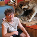  -,   , 53 ,     , c 