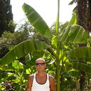  ,   , 44 ,  