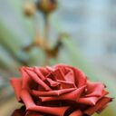  Az Zaqaziq,   Xxxx, 39 ,   ,   