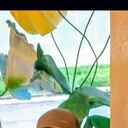 ���������� ������, ���� ������� �������, 41 ���, ������������ ��� ����� � ���������, c�������� ���������