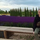 ���������� �����������, ���� ������� �������, 35 ���, ������������ ��� ������, ����� � ���������, c�������� ���������