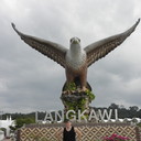 ���������� ������, ���� ������� ���������, 49 ���, ������������ ��� ������, ����� � ���������, c�������� ���������