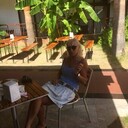 ���������� ������, ���� ������� Galchik, 55 ���, ������������ 