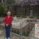  ,   , 68 ,   ,   