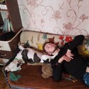  Kassel,   , 23 ,   ,   , c 