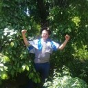 ���������� ���������, ���� ������� �������, 38 ���, ������������ ��� ������, ����� � ���������