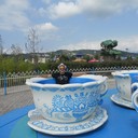 ���������� ����, ���� ������� ������, 43 ����, ������������ ��� ������, ����� � ���������, c�������� ���������