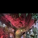 ���������� �����-���������, ���� ������� ˸��, 28 ���, ������������ ��� ����� � ���������, c�������� ���������