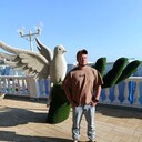 ���������� ������������, ���� ������� ����, 33 ����, ������������ ��� ����� � ���������, c�������� ���������