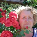  ,   , 52 ,   ,   