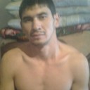 ���������� ������, ���� ������� ZOLOTOI, 37 ���, ������������ ��� ������, ����� � ���������, c�������� ���������