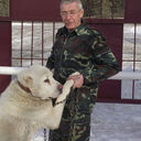 ���������� ������, ���� ������� ����, 60 ���, ������������ 