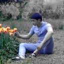 ���������� �������, ���� ������� Leon, 30 ���, ������������ ��� ������