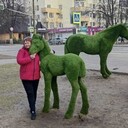  ,   , 48 ,  