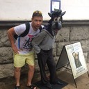   ,   , 36 ,  