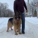 ���������� ���, ���� ������� �������, 52 ����, ������������ ��� ������, ����� � ���������