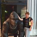  ,   , 48 ,   ,   , c 