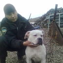 ���������� ������, ���� ������� �������, 43 ����, ������������ ��� ������, ����� � ���������, c�������� ���������