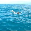 ���������� ������, ���� ������� �����, 40 ���, ������������ ��� ������, ����� � ���������, c�������� ���������