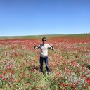 ���������� ������, ���� ������� �����, 38 ���, ������������ ��� ������, ����� � ���������, c�������� ���������, ���������