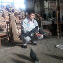 ���������� ������, ���� ������� ����, 39 ���, ������������ ��� ����� � ���������, c�������� ���������