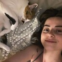 ���������� ��������, ���� ������� ������, 22 ����, ������������ ��� ������, ����� � ���������