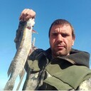 ���������� ���������, ���� ������� ����, 37 ���, ������������ ��� c�������� ���������