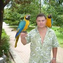 ���������� �����, ���� ������� ���������, 104 ����, ������������ ��� ����� � ���������, c�������� ���������