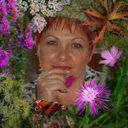  ,   , 55 ,   ,   , c 