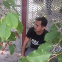 ���������� ������-��-����, ���� ������� ����, 35 ���, ������������ ��� ������, ����� � ���������, c�������� ���������