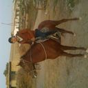  ,   2441100, 32 ,     , c , 